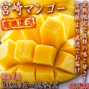 産地直送 宮崎マンゴー 樹上完熟 1玉 2〜3Lサイズ 訳あり品 宮崎県産 濃厚な味と甘さの特産フルーツを、お得な価格で本場から直送！｜wamers