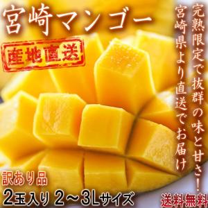 産地直送 宮崎マンゴー 樹上完熟 2玉 2〜3Lサイズ 訳あり品 宮崎県産 濃厚な味と甘さの特産フルーツを、お得な価格で本場から直送！｜wamers