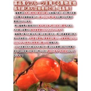 あんぽ柿 干し柿 計690g以上 3〜4パック...の詳細画像2