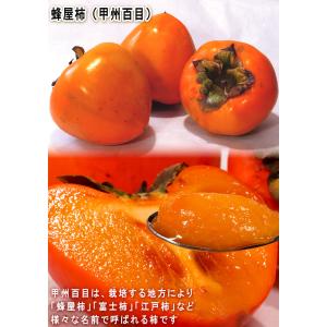 蜂屋の蜂屋柿 干し柿 約250g×3パック 宮...の詳細画像2