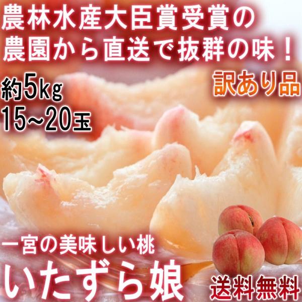 産地直送 いたずら娘 訳あり桃 約5kg 15〜20玉 山梨県産 家庭用 笛吹市一宮 農林水産大臣賞...