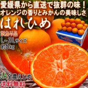 産地直送 はれひめ 約5kg L〜3Lサイズ 愛媛県産 訳あり品 オレンジの香りに蜜柑の味わい！愛媛直送の新鮮なタンゴール