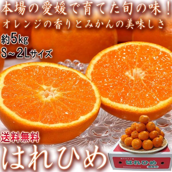 はれひめ 約5kg S〜2Lサイズ 愛媛県産 JA共撰品 オレンジの香りに蜜柑の味わい！食べやすい旬...