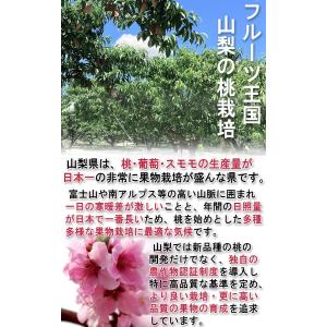 はねだし桃 訳あり 約5kg 15〜22玉前後...の詳細画像2