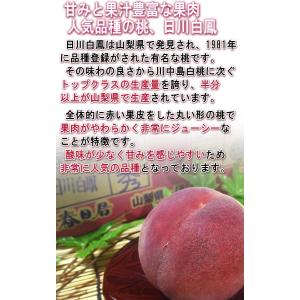 はねだし桃 訳あり 約5kg 15〜22玉前後...の詳細画像3