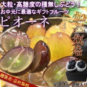 温室ピオーネ 山梨県・長野県・岡山県産 大粒限定 種無し葡萄...