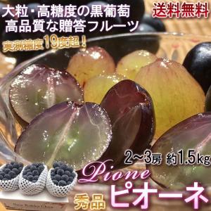 ピオーネ 山梨県・長野県・岡山県産 大粒限定 種無し葡萄 約1.5kg 2〜3房入り 秀品 化粧箱入り 上品な香りと味わいの贈答用ぶどう！ ブドウ