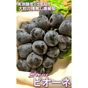 ピオーネ 山梨県・長野県・岡山県産 大粒限定 ...の詳細画像1