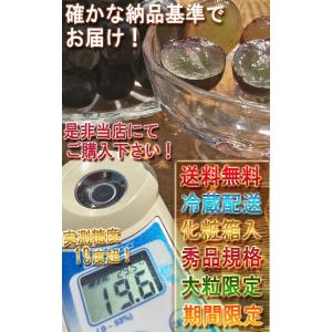 ピオーネ 山梨県・長野県・岡山県産 大粒限定 ...の詳細画像4