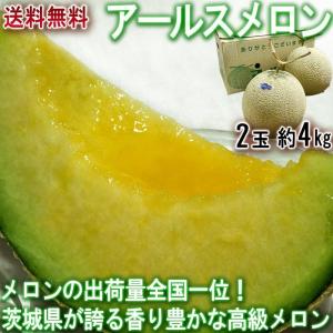 アールスメロン 約4kg 2玉入り 高知・茨城・静岡県産中心