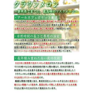クラウンメロン 約1.3kg 1玉入り 贈答規...の詳細画像2