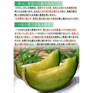 クラウンメロン 約1.3kg 1玉入り 贈答規...の詳細画像3