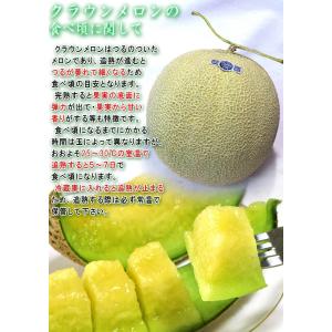 クラウンメロン 約1.3kg 1玉入り 贈答規...の詳細画像4