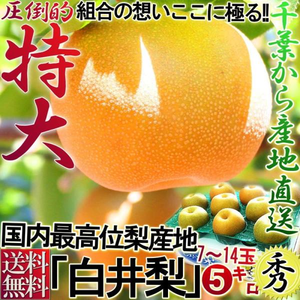 白井梨 幸水・豊水・秋月・新高 約5kg 7〜14玉 千葉県産 秀品 大玉限定 贈答 豊富な果汁とみ...