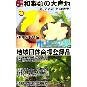 市川梨 幸水・豊水・あきづき・新高 約5kg ...の詳細画像1