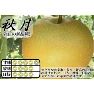 市川梨 幸水・豊水・あきづき・新高 約5kg ...の詳細画像4