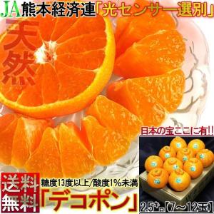 ●デコポン 熊本産 露地栽培 約2.5kg 7玉〜12玉 簡易包装 糖度13度以上保障 光センサー認証 全国統一糖酸品質基準通過