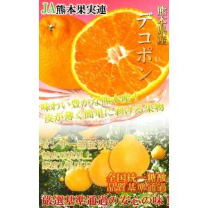 デコポン 熊本産 露地栽培 約2.5kg 7玉...の詳細画像1