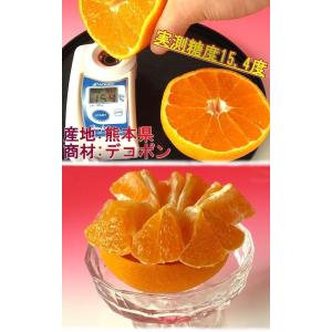 デコポン 熊本産 露地栽培 約2.5kg 7玉...の詳細画像4