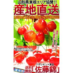 産地直送 さくらんぼ 訳あり 佐藤錦 1kg ...の詳細画像1