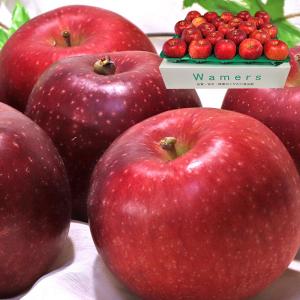 ●紅いわて 赤りんご 約5kg 20〜26玉 岩手県産 贈答規格 個人農家産中心 抜群の味わいを誇る特産品！鮮やかな見た目と豊かな甘み