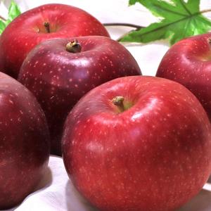 紅いわて 赤りんご 訳あり 約5kg 18〜24玉 岩手県産 抜群の味わいを誇る特産品！鮮やかな見た目と豊かな甘み リンゴ