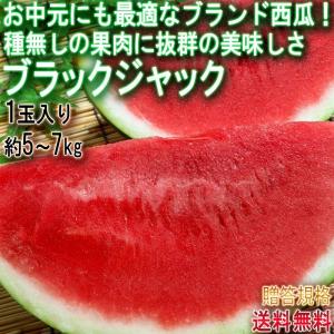 でんすけすいか 黒皮ブランド西瓜 特大限定 1玉入り 約9kg 北海道産 JA