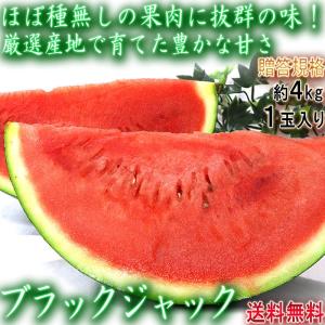 ブラックジャック 種無し西瓜 1玉 約4kg 千葉県産 贈答規格
