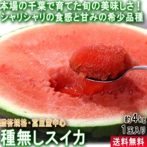 種無しスイカ 約4kg 1玉入り 千葉県産 贈答規格 富里産中心