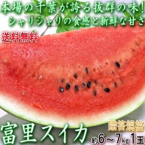富里スイカ 約6〜7kg 1玉入り 千葉県産 贈答規格 国内屈指の西瓜産地で育てた旬の美味しさ！東の横綱が誇る抜群の味と品質