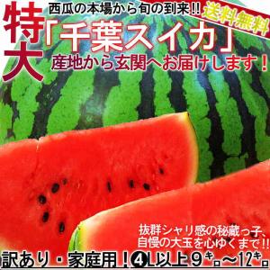 特大 スイカ 約9〜12kg 1玉 4〜6L 千葉県産 訳あり品 空洞・棚落ち含む 富里・成田・船穂など国内屈指の産地厳選！｜wamers