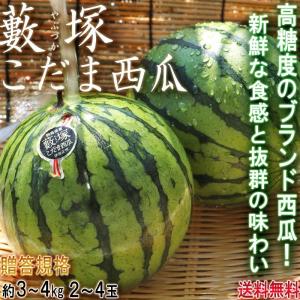 藪塚こだま西瓜 温室栽培 小玉スイカ 約3〜4kg 2〜4玉 群馬県産 贈答規格 JA太田市 高い糖度が魅力のブランドすいか！｜wamers