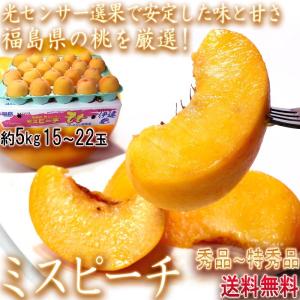 ミスピーチ 黄桃 約5kg 15〜22玉 福島県産 贈答規格 JA全農ふくしま 黄金桃 福島で採れたモモの中でも厳選した高品質！光センサー選果で安定した甘さ