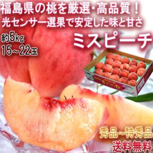 ミスピーチ 桃 約5kg 15〜22玉 福島県産 贈答規格 JA全農ふくしま 福島で採れたモモの中でも厳選した高品質！光センサー選果で安定した甘さ