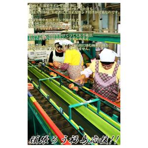 ミスピーチ 桃 5〜7玉 福島県産 贈答規格 ...の詳細画像3