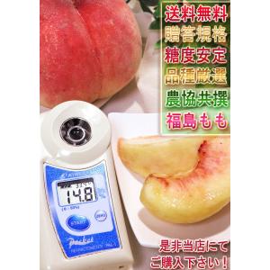 ミスピーチ 桃 5〜7玉 福島県産 贈答規格 ...の詳細画像5
