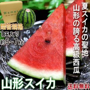 ●山形スイカ 約5〜7kg 1玉入り 贈答規格 山形県産 JA共撰品中心 西瓜の出荷量全国３位の大産地！夏すいかの聖地が誇る抜群の味