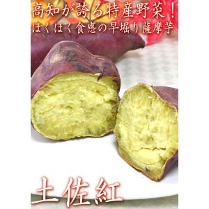 土佐紅 とさべに 早堀りさつまいも 約10kg...の詳細画像1
