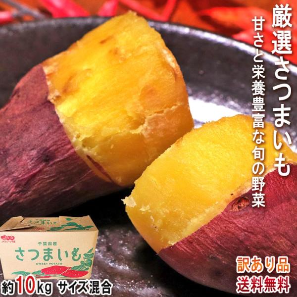 紅あずま・紅はるか・紅ゆうか 紅まさり さつまいも 約10kg 千葉県・茨城県産 訳あり品 濃厚な味...