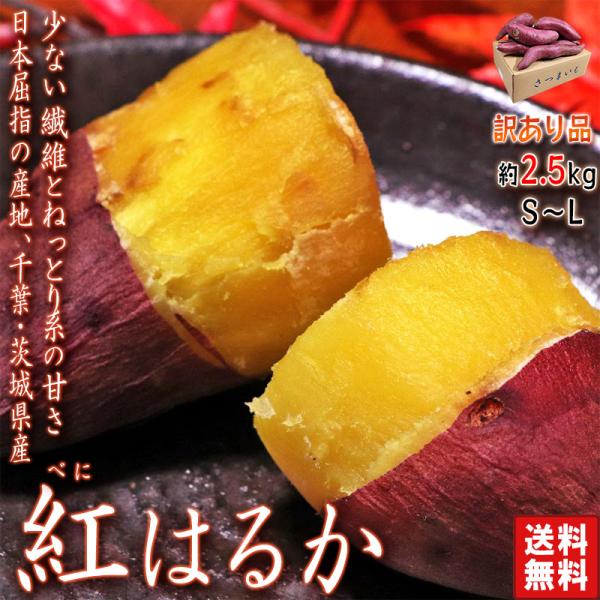 紅はるか 約2.5kg 千葉県・茨城県産 訳あり品 濃厚な味と栄養豊富な旬の野菜！甘み溢れる薩摩芋を...