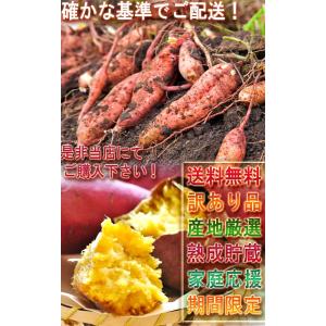 紅はるか さつまいも 約10kg 千葉県・茨城...の詳細画像5