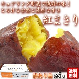 紅まさり さつまいも 約5kg 茨城県産 JAなめがた 訳あり品 キュアリング貯蔵 しっとりした食感と上品な甘さ！