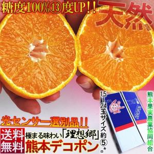 ●デコポン しらぬい 露地 約5kg 15〜24玉 熊本県産 贈答規格 光センサー選果・糖度13度以上限定 本場の不知火を糖度保証で厳選！安定した抜群の味