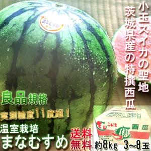 紅こだま西瓜 茨城県中心 約8kg 3〜8玉入り 良品 産地箱入り 温室栽培 まなむすめ中心 薄い果皮と豊富な甘み 今が旬の温室スイカ！