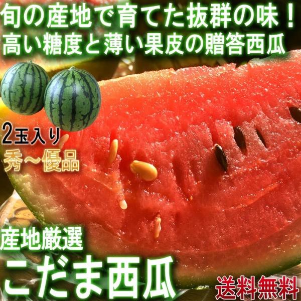 紅小玉 スイカ 2玉入り こだま西瓜 茨城県・熊本県産中心 贈答規格薄い果皮と豊富な甘さ！旬の産地で...