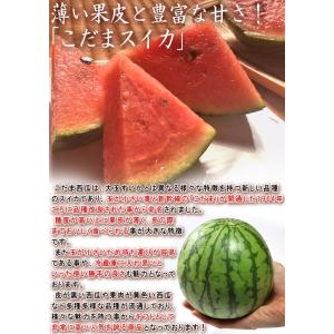 紅こだま西瓜 小玉スイカ 約3〜4kg 2〜4...の詳細画像2