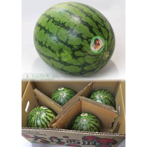 紅こだま西瓜 小玉スイカ 約3〜4kg 2〜4...の詳細画像5