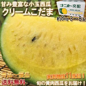 ●クリームこだま 黄肉小玉スイカ 千葉県産中心 約8kg 3〜8玉入り 秀〜優品 産地箱入り 贈答可能 実測糖度11度！甘み豊かな黄色すいか