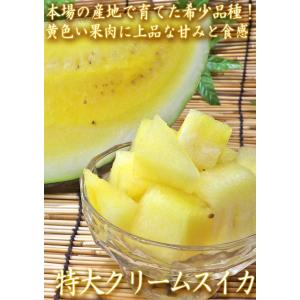 大玉クリームスイカ 約7〜9kg 1玉 千葉県...の詳細画像1