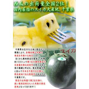 大玉クリームスイカ 約7〜9kg 1玉 千葉県...の詳細画像2